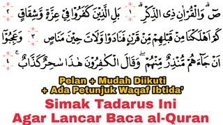 Tadarus Surat Shad Ayat 1-88 (Full) Ada Tanda Warna Panjang & Dengung Agar Lancar Baca al-Quran