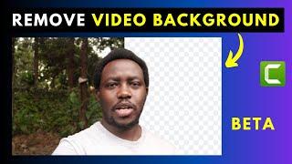 How to Use the Background Removal Tool in Camtasia 2023 | Background Removal Tool BETA