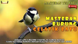 PANCINGAN BURUNG GELATIK BATU CEPAT GACOR || MASTERAN BURUNG GELATIK BATU