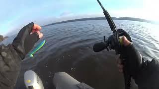 Big baits tutorial. Огрузка, проводки крупных приманок.