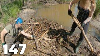 Beaver Dam Removal No.147 - Me And My Wife