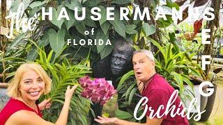 The Hausermanns of Florida. E. F. G Orchids. What's new?