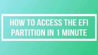 How to Access the EFI Partition in Windows 10 in just 1 Minute | Mount and Access the EFI Partition