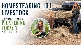 EP: 426 Raising Grassfed Beef What You Need to Know