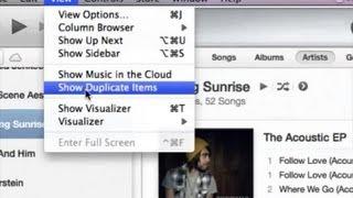 Hiding Duplicates in iTunes : iTunes Basics