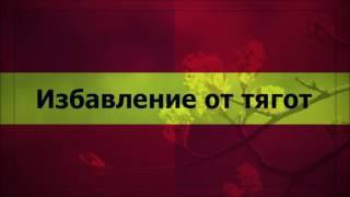 Абу Яхья Крымский: Избавление от тягот (Ключ Счастья)