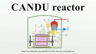 CANDU reactor