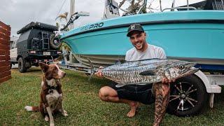 BAD LUCK & BIG SPANISH MACKERAL (i catch & she cooks)  ‍