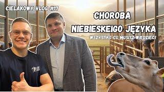 Niebieski Język! Czym jest? Gościnnie: Dominik Ruciński (Vetlogic) | Cielakowyvlog #17