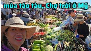 Người Việt ở Mỹ đi chợ trời mua táo tàu, đào tiên, đồ cổ giá đặc biệt