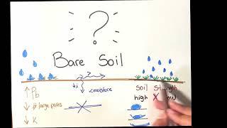 Understanding soil crusting