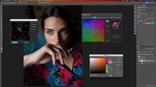 The incredible power of the Grid and the Vectorscope in Photoshop with "Mind The Color 2.5"