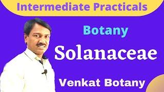 Sr Intermediate Practicals | Botany | Solanaceae | Datura metal