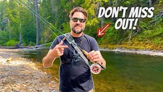 Most Fun You'll Have with a Fly Rod