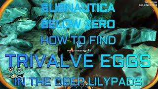 Subnautica Below Zero SPOILERS: How to find Trivalve Eggs in the Deep Lilypads