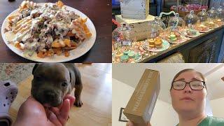 Delicious Food, Sweet Shop, Adorable Puppies, & Exciting Packages