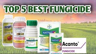 TOP 5 BEST FUNGICIDE | Vlog#15