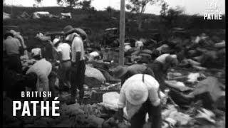 Japanese POW's In Indonesia (1945)