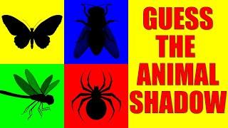 Guess the INSECTS from Their Shadow | Quiz Game for Kids, Preschoolers and Kindergarten
