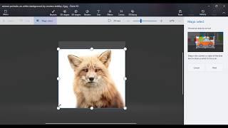 Paint 3D: How to remove white background from a Picture to make it transparent