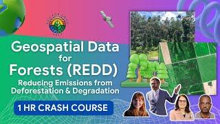 Revolutionizing REDD: How Geospatial Data is Transforming Forest Protection | GEO FOR GOOD'23