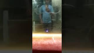 Mirror Glass LED Touchscreen I LED mirror I Aluminium Frame #creatorsingh #led #ledmirror #viral