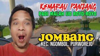 Desa Jombang, kec. Ngombol, kab. Purworejo. Explore Jalur Jalan #pedesaan #purworejo.