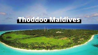 All you need to know about Thoddoo Maldives | Local island Maldives | Maldives on a budget