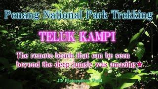 "Trekking in Penang National Park: Discovering the Hidden Paradise of Teluk Kampi"