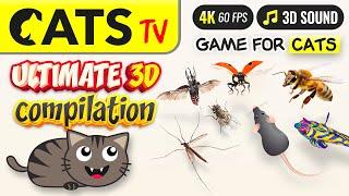 CAT TV - ULTIMATE 3D compilation 🪰 for CATS  4K 3 HOURS