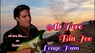 Ab Tere Bin Jee Lenge Hum #instrumental #song #santoor #aashiqui #kumarsanu #anuagarwal #rahulroy