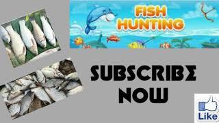 Pakistan fish hunting only on channel 88 entertainment