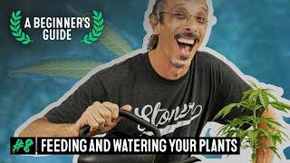 How to Feed and Water Cannabis Plants - A Beginner’s Guide with Kyle Kushman #8