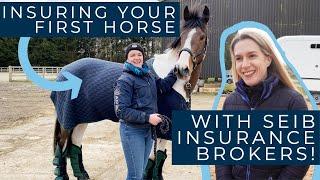 Tips For Insuring Your First Horse | Horse Insurance with SEIB Insurance Brokers | Episode 1