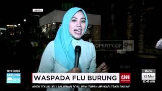 Waspada Bahaya Flu Burung Di Jakarta