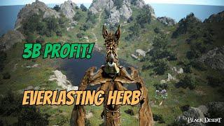 BDO Life | Everlasting Herb Gathering  | AMAZING PROFIT | 2300 MASTERY