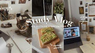 STUDY VLOG #2 |  Aulas online e nova rotina (estudante de DESIGN)