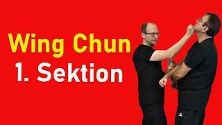 Anwendungen zur 1. Sektion Chi Sao | Wing Chun