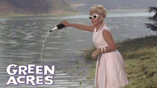 Oliver And Lisa Go On A Picnic | Green Acres