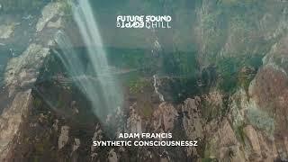 Adam Francis - Synthetic Consciousness