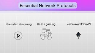 Essential Network Protocols | Computer Networks