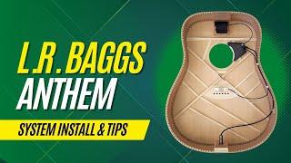 L.R. Baggs Anthem Pickup Install Larivee Acoustic Guitar How To Instruction