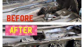 How to clean drainage on Toyota Prius #zm motors #toyota #youtube #youtubeshorts