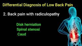 Differential Diagnosis of Low Back Pain (Clinical Help): What You Should Know