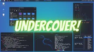 How to enable the New Undercover mode in Kali Linux 2020?