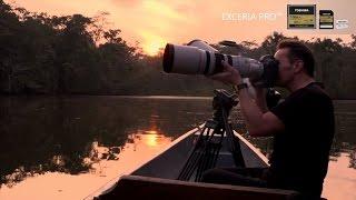 Catch the Wild:  EXCERIA PRO™ - High Performance shooting, Amazon Jungle