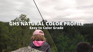 EASY GH5 Color Grading WITHOUT Using LUTS // GH5 Natural Color Profile is quick and easy to grade