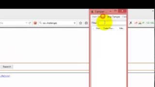 xss (cross site scripting ) filter evasion series stage 5