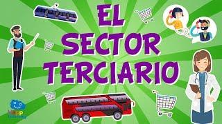 EL SECTOR TERCIARIO. El trabajo y su clasificación  | Vídeos Educativos para niños