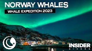 Norway Whales Expedition 2023